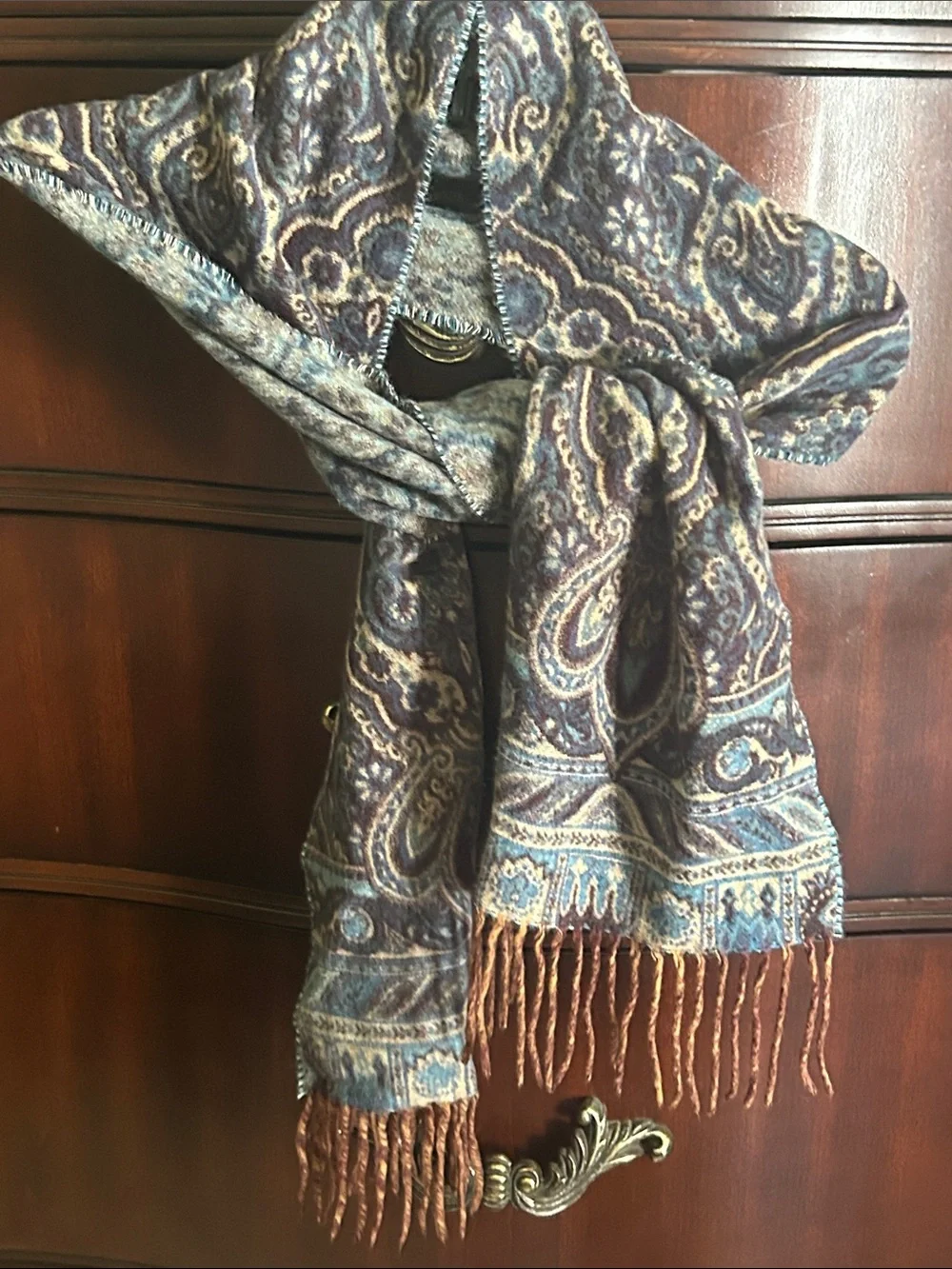 Plush Paisley Fringe Scarf in Blue and Brown